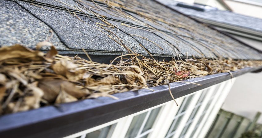 Как подготовить крышу к зиме. Пошаговые рекомендации по подготовке крыши дома к зиме