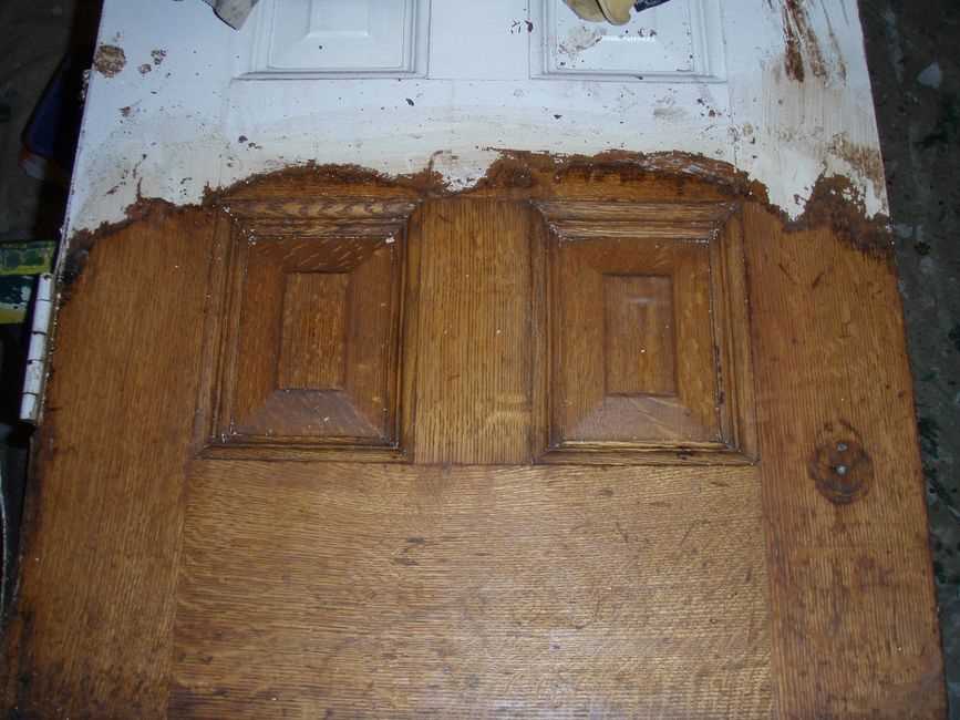 Реставрация деревянных дверей: основные работы и инструменты