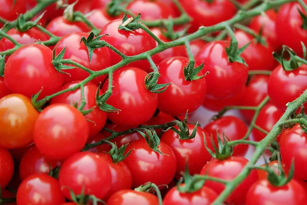 Сорта томатов: идеальные растения для дачного участка