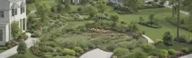 Лианы для каменных стен для создания зелёных акцентов