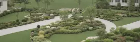 Калужница — весеннее чудо у воды для вашего сада