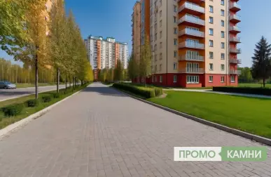 Как выбрать участок в лесу для дачи или строительства