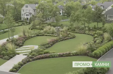 Контраст бархатистой и блестящей листвы