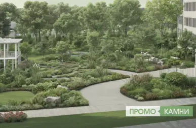 Как правильно выбрать лиственные деревья по высоте