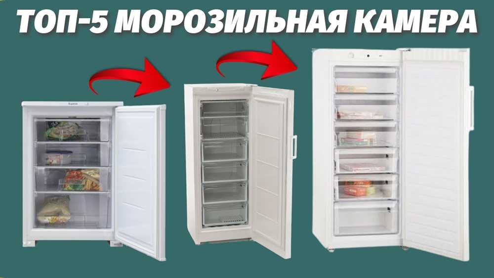 Семеечный уют и комфорт: лучшие холодильники и морозильные камеры для дома